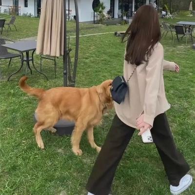 舞台老妈